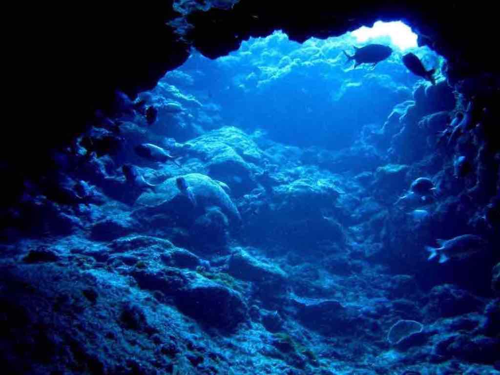 沖繩潛水行程 0